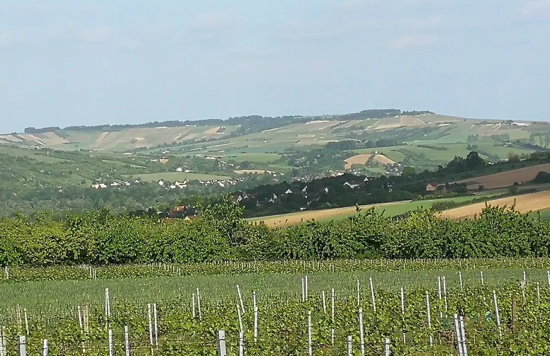 Villa Rose-1